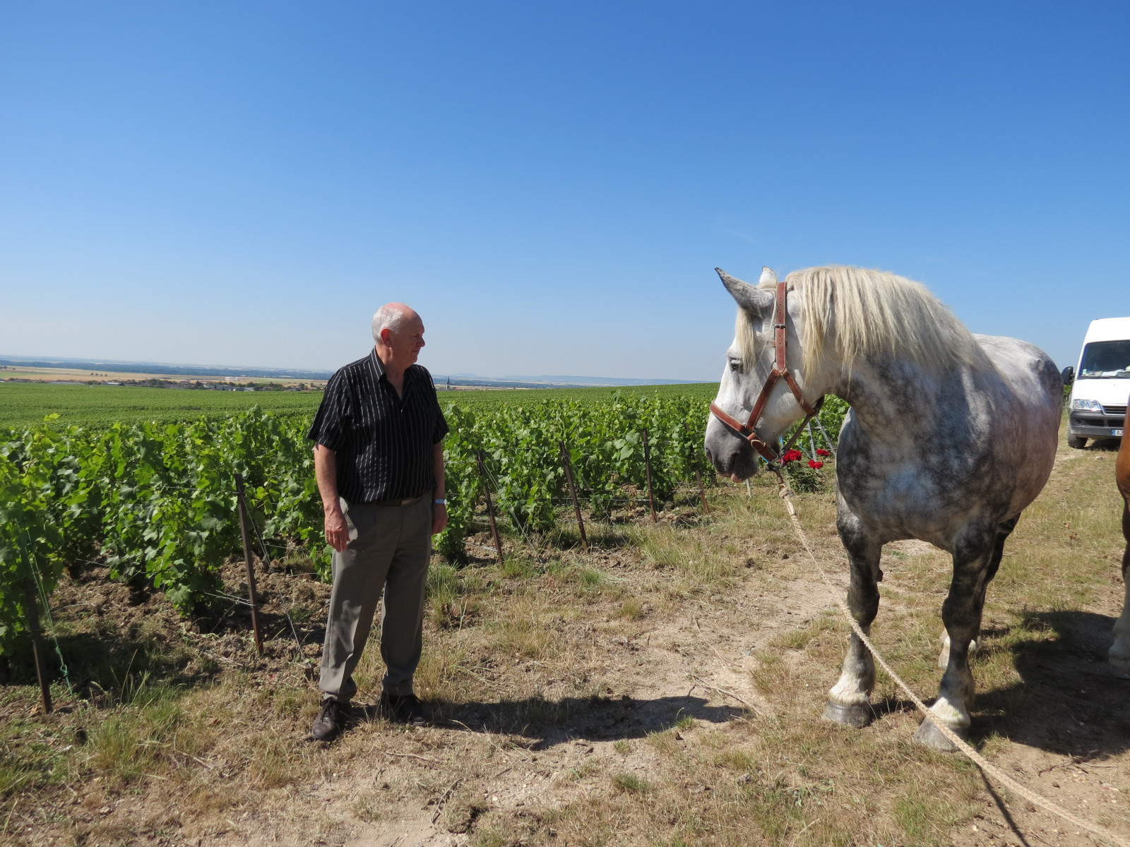 Visiting small Champagne producer and its organic vineyards